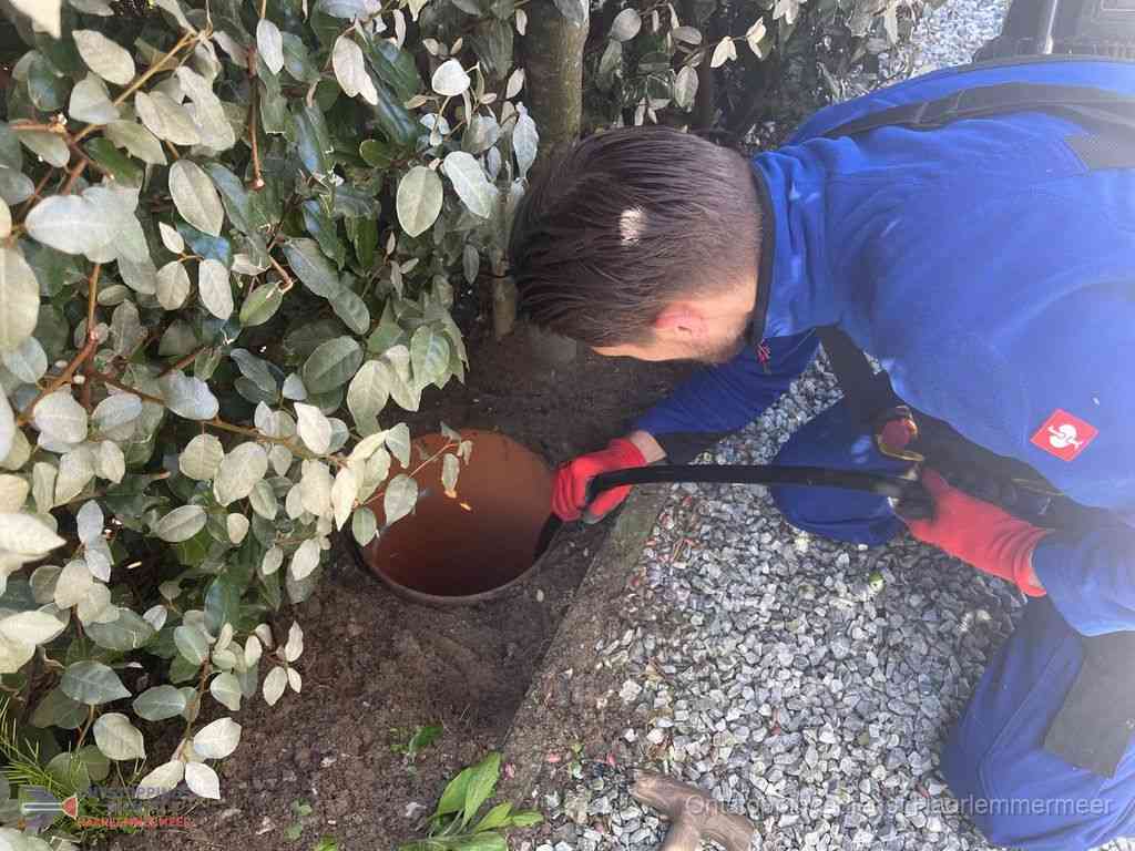 Rioolvliegjes Haarlemmermeer Rioolvliegjes Haarlemmermeer